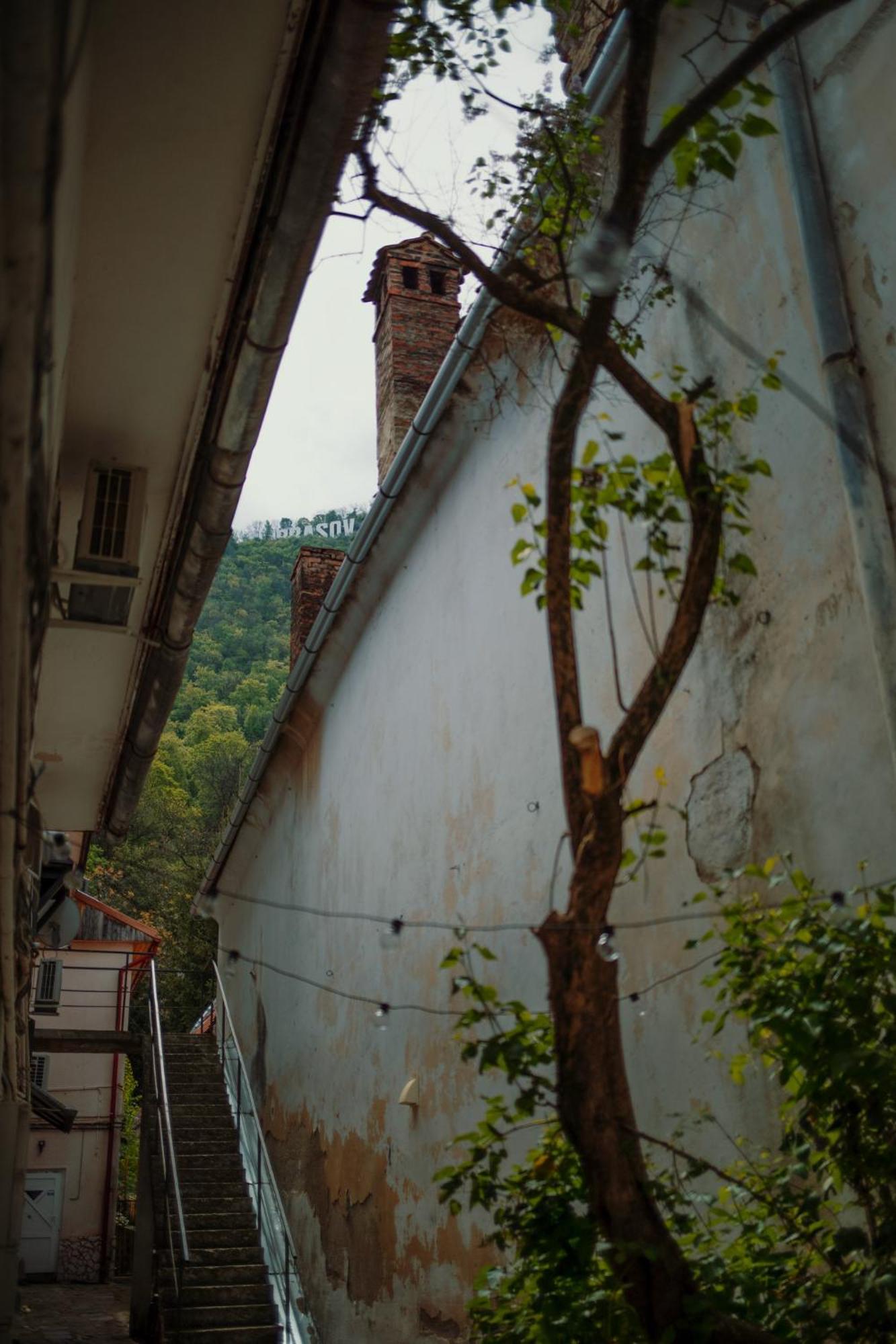 3 Min To Everything-Stylish-Modern-Old Fortress Brasov Exterior photo
